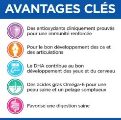 Hill's Vetessentials Hill's Science Plan VetEssentials Puppy Growth Small & Mini Poulet 7 Kg 10 Hill's Vetessentials Hill's Science Plan VetEssentials Puppy Growth Small & Mini Poulet 7 Kg -nourriture pour chien Ventes 2023 hill s vetessentials puppy mini 7 kg3