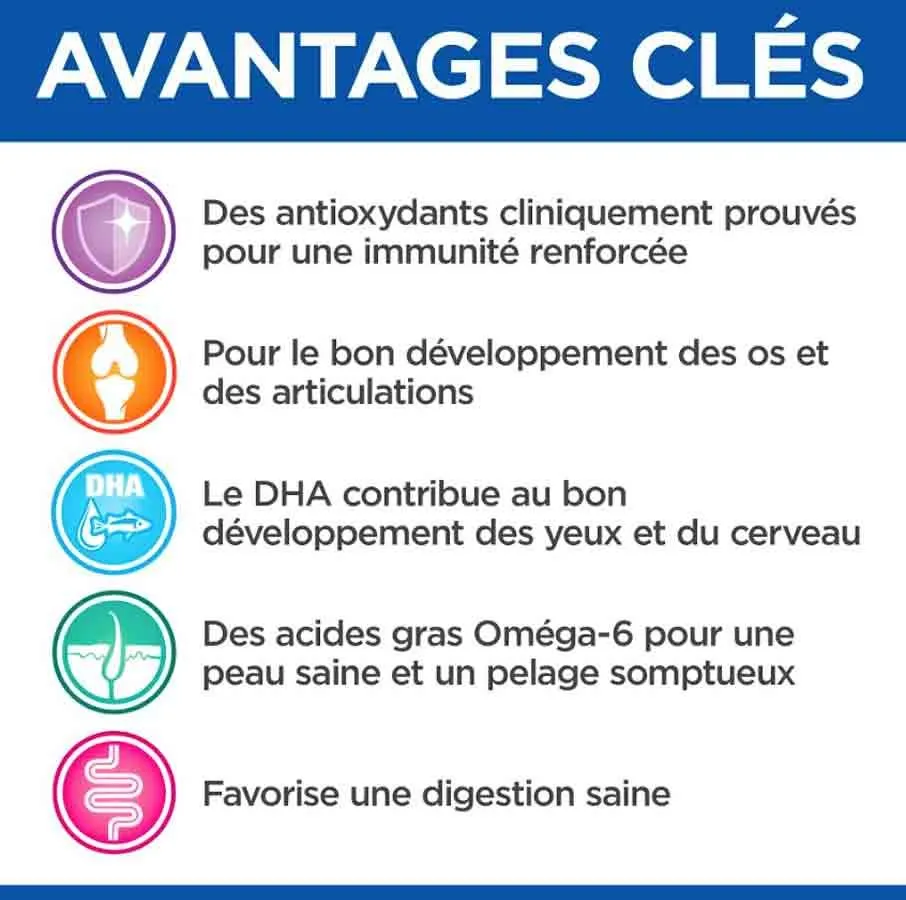 Hill's Vetessentials Hill's Science Plan VetEssentials Puppy Growth Small & Mini Poulet 7 Kg 6 Hill's Vetessentials Hill's Science Plan VetEssentials Puppy Growth Small & Mini Poulet 7 Kg – Image 4