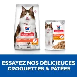 Hill's Science Plan Hill's Science Plan Feline Adult Perfect Digestion 7 Kg -nourriture pour chien Ventes 2023 hill s science plan feline adult perfect digestion 7 kg5