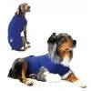 KVP Gilet Médical XS -nourriture pour chien Ventes 2023 kvp gilet m dical 1
