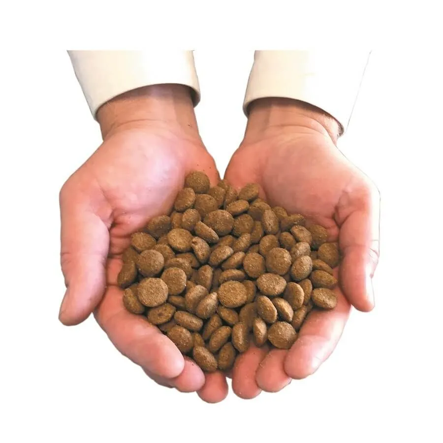 Canichef Croquettes BIO Sans Céréales, Sans Gluten Chien Grande Race 5 Kg 5 Canichef Croquettes BIO Sans Céréales, Sans Gluten Chien Grande Race 5 Kg – Image 3