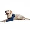 Medical Pet Shirt Manche De Protection Simple XXS