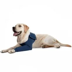 Medical Pet Shirt Manche De Protection Simple XXS