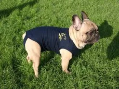 Medical Pet Shirt Chien L -nourriture pour chien Ventes 2023 medical pet shirt chien 1 1 1 2 1