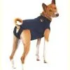 Medical Pet Shirt Chien M 2 Medical Pet Shirt Chien M -nourriture pour chien Ventes 2023 mps dog 1 1 1 1 1 2