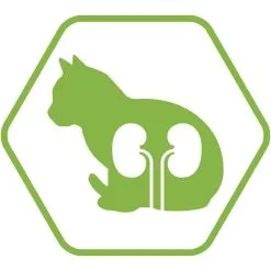 Purina Proplan Optirenal Chat Adult Sterilised Saumon 400 G -nourriture pour chien Ventes 2023 purina proplan cat sterilised saumon 400 grs3