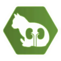 Purina Proplan Optirenal Chat Adult Sterilised Dinde 1,5 Kg -nourriture pour chien Ventes 2023 purina proplan optirenal adult cat sterilised dinde 1 5 kg3