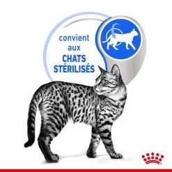 Royal Canin Feline Health Nutrition Indoor Sterilised Gelée 12 X 85 G 7 Royal Canin Feline Health Nutrition Indoor Sterilised Gelée 12 X 85 G -nourriture pour chien Ventes 2023 royal canin fe line health nutrition indoor sterilised gele e 12 x 85 g2