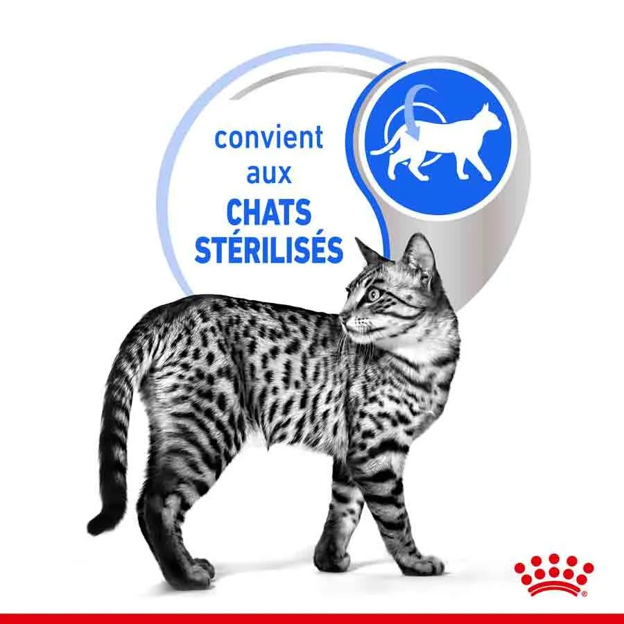 Royal Canin Feline Health Nutrition Indoor Sterilised Gelée 12 X 85 G 4 Royal Canin Feline Health Nutrition Indoor Sterilised Gelée 12 X 85 G – Image 2