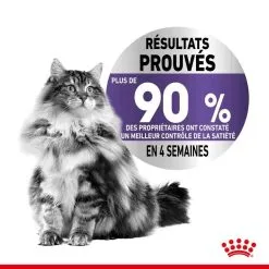 Royal Canin Feline Care Nutrition Royal Canin Féline Care Nutrition Appetite Control Gelée 12 X 85 G -nourriture pour chien Ventes 2023 royal canin feline care nutrition appetite control gele e 12 x 85 g2