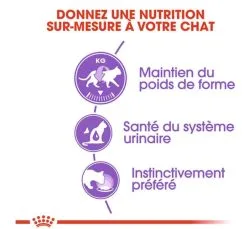 Royal Canin Feline Health Nutrition Sterilised Mousse 12 X 85 G 7 Royal Canin Feline Health Nutrition Sterilised Mousse 12 X 85 G -nourriture pour chien Ventes 2023 royal canin feline health nutrition sterilised mousse 12 x 85 g3