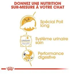 Royal Canin Breed Health Nutrition Royal Canin Persian Adult 12 X 85 G -nourriture pour chien Ventes 2023 royal canin persian adult 12 x 85 g3