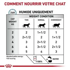 Royal Canin Vet Care Royal Canin Vet Chat Skin & Coat 12 X 85 G -nourriture pour chien Ventes 2023 royal canin vet chat skin coat 12 x 85 g 5