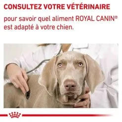 Royal Canin Vet Care Royal Canin Vet Diet Chien Calm CD25 4 Kg -nourriture pour chien Ventes 2023 royal canin vet diet chien calm cd25 4 kg 9