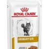 Royal Canin Veterinary Diet Royal Canin Vet Chat Urinary S/O Morceaux 12 X 85 G 2 Royal Canin Veterinary Diet Royal Canin Vet Chat Urinary S/O Morceaux 12 X 85 G -nourriture pour chien Ventes 2023 royal canin veterinary diet cat urinary so morceaux