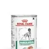 Royal Canin Veterinary Diet Royal Canin Vet Chien Diabetic Special 12 X 410 G 2 Royal Canin Veterinary Diet Royal Canin Vet Chien Diabetic Special 12 X 410 G -nourriture pour chien Ventes 2023 royal canin veterinary diet dog diabetic 12 x 410 grs