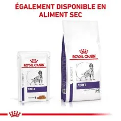 Royal Canin Veterinary Diet Royal Canin Veterinary Dog Adult 12 X 100 G -nourriture pour chien Ventes 2023 royal canin veterinary dog adult 12 x 100 g 6