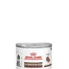 Royal Canin Veterinary Diet Royal Canin Vet Chien Gastrointestinal Puppy Mousse 12 X 195 G -nourriture pour chien Ventes 2023 royal canin veterinary dog gastrointestinal puppy mousse