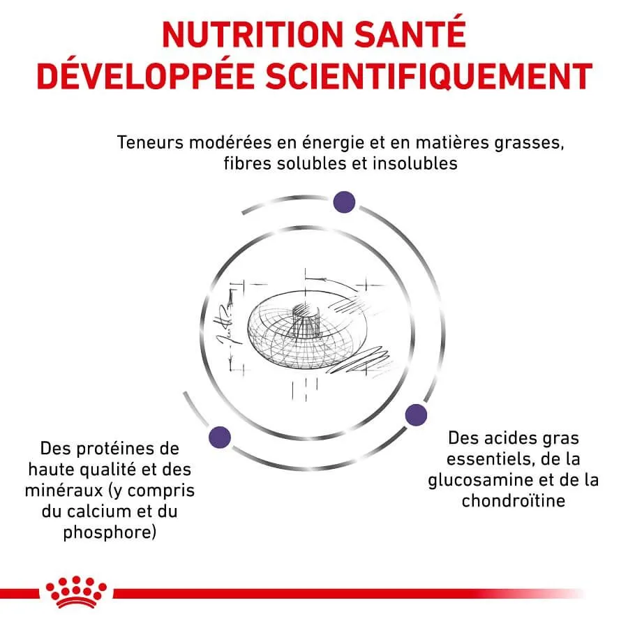 Royal Canin Vet Care Royal Canin Veterinary Neutered Junior Large Dog 12 Kg 5 Royal Canin Vet Care Royal Canin Veterinary Neutered Junior Large Dog 12 Kg – Image 3