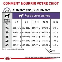 Royal Canin Vet Care Royal Canin Veterinary Neutered Junior Large Dog 12 Kg 13 Royal Canin Vet Care Royal Canin Veterinary Neutered Junior Large Dog 12 Kg -nourriture pour chien Ventes 2023 royal canin veterinary neutered junior large dog 12 kg 5