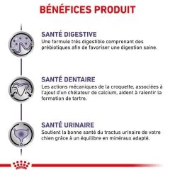 Royal Canin Vet Care Royal Canin Veterinary Small Dog Adult 8 Kg 12 Royal Canin Vet Care Royal Canin Veterinary Small Dog Adult 8 Kg -nourriture pour chien Ventes 2023 royal canin veterinary small dog adult 8 kg 4