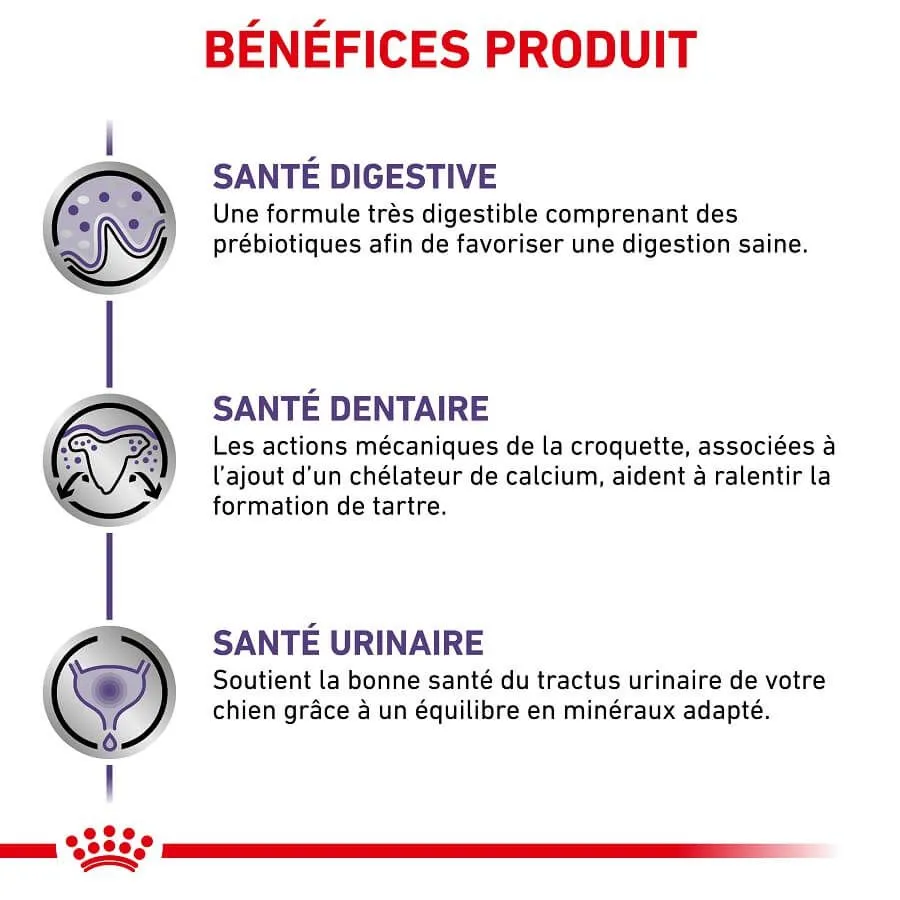 Royal Canin Vet Care Royal Canin Veterinary Small Dog Adult 8 Kg 6 Royal Canin Vet Care Royal Canin Veterinary Small Dog Adult 8 Kg – Image 4