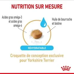 Royal Canin Breed Health Nutrition Royal Canin Yorkshire Terrier Adult 8+ 500 G -nourriture pour chien Ventes 2023 royal canin yorkshire terrier adult 8 2