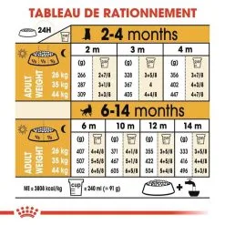 Royal Canin Breed Health Nutrition Royal Canin Berger Allemand Puppy 12 Kg -nourriture pour chien Ventes 2023 royal canin berger allemand junior 8 1