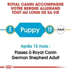 Royal Canin Breed Health Nutrition Royal Canin Berger Allemand Puppy 12 Kg -nourriture pour chien Ventes 2023 royal canin berger allemand junior 2 1
