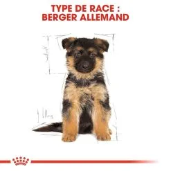 Royal Canin Breed Health Nutrition Royal Canin Berger Allemand Puppy 12 Kg -nourriture pour chien Ventes 2023 royal canin berger allemand junior 6 1