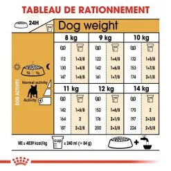 Royal Canin Breed Health Nutrition Royal Canin Bouledogue Français Adult 3 Kg -nourriture pour chien Ventes 2023 royal canin bouledogue fran ais adult 3 kg rationnement