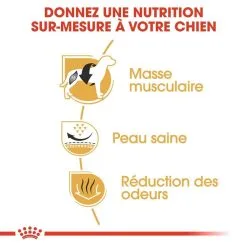 Royal Canin Breed Health Nutrition Royal Canin Bouledogue Français Adult 1,5 Kg -nourriture pour chien Ventes 2023 royal canin bouledogue fran ais adult b n fices 1