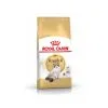 Royal Canin Breed Health Nutrition Royal Canin Chat Adult Ragdoll 10 Kg