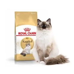 Royal Canin Breed Health Nutrition Royal Canin Chat Adult Ragdoll 10 Kg -nourriture pour chien Ventes 2023 royal canin chat adult ragdoll1