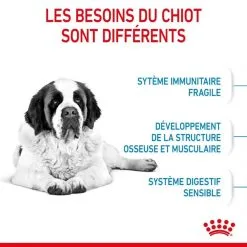 Royal Canin Size Health Nutrition Royal Canin Junior Giant 15 Kg 12 Royal Canin Size Health Nutrition Royal Canin Junior Giant 15 Kg -nourriture pour chien Ventes 2023 royal canin junior giant 2 1