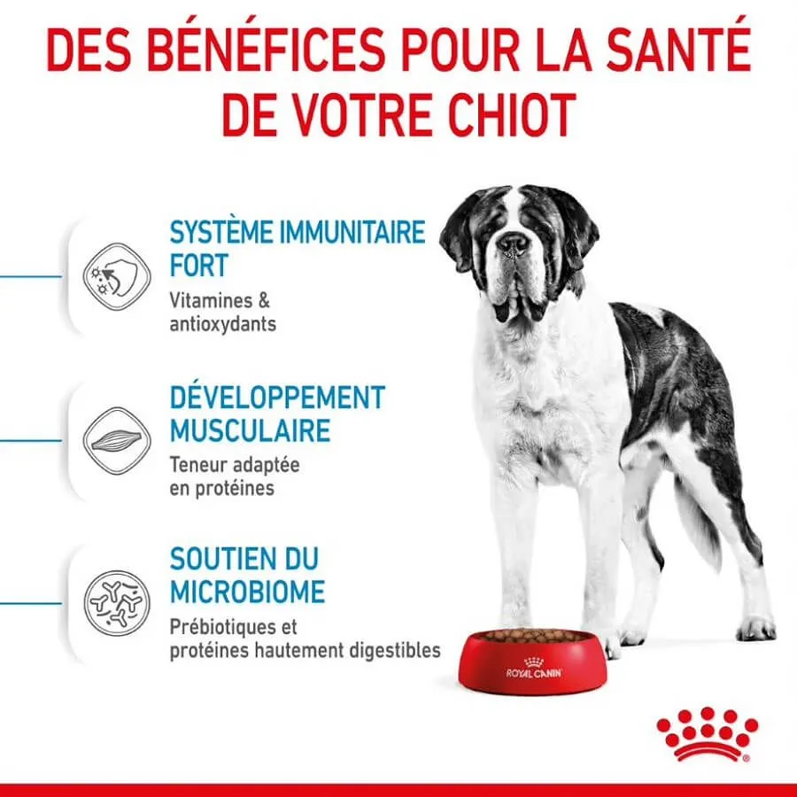 Royal Canin Size Health Nutrition Royal Canin Junior Giant 15 Kg 6 Royal Canin Size Health Nutrition Royal Canin Junior Giant 15 Kg – Image 4
