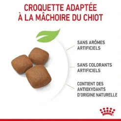 Royal Canin Size Health Nutrition Royal Canin Junior Giant 15 Kg 14 Royal Canin Size Health Nutrition Royal Canin Junior Giant 15 Kg -nourriture pour chien Ventes 2023 royal canin junior giant 4