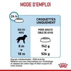 Royal Canin Size Health Nutrition Royal Canin Junior Giant 15 Kg 16 Royal Canin Size Health Nutrition Royal Canin Junior Giant 15 Kg -nourriture pour chien Ventes 2023 royal canin junior giant 6