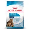 Royal Canin Size Health Nutrition Royal Canin Maxi Starter Mother And Babydog 15 Kg 1 Royal Canin Size Health Nutrition Royal Canin Maxi Starter Mother And Babydog 15 Kg -nourriture pour chien Ventes 2023 royal canin maxi starter mother and babydog 10