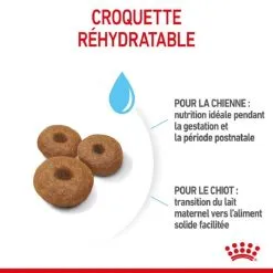 Royal Canin Size Health Nutrition Royal Canin Maxi Starter Mother And Babydog 15 Kg -nourriture pour chien Ventes 2023 royal canin maxi starter mother and babydog 4