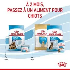 Royal Canin Size Health Nutrition Royal Canin Maxi Starter Mother And Babydog 15 Kg -nourriture pour chien Ventes 2023 royal canin maxi starter mother and babydog 5