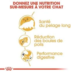 Royal Canin Breed Health Nutrition Royal Canin Persian Adult 2 Kg -nourriture pour chien Ventes 2023 royal canin persian adult 2
