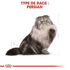 Royal Canin Breed Health Nutrition Royal Canin Persian Adult 2 Kg -nourriture pour chien Ventes 2023 royal canin persian adult 4