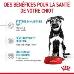 Royal Canin Size Health Nutrition Royal Canin Vet Puppy Maxi 15 Kg 14 Royal Canin Size Health Nutrition Royal Canin Vet Puppy Maxi 15 Kg -nourriture pour chien Ventes 2023 royal canin puppy maxi 3 2