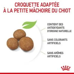 Royal Canin Size Health Nutrition Royal Canin Vet Puppy Maxi 15 Kg 15 Royal Canin Size Health Nutrition Royal Canin Vet Puppy Maxi 15 Kg -nourriture pour chien Ventes 2023 royal canin puppy maxi 4 2