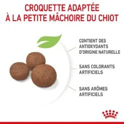Royal Canin Size Health Nutrition Royal Canin Vet Puppy Medium 4 Kg -nourriture pour chien Ventes 2023 royal canin puppy medium 1 1 2