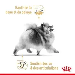 Royal Canin Breed Health Nutrition Royal Canin Spitz Nain Adult 1.5 Kg -nourriture pour chien Ventes 2023 royal canin spitz nain adult 4
