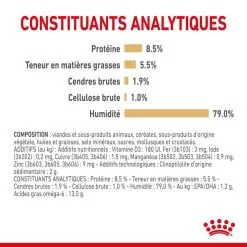 Royal Canin Breed Health Nutrition Royal Canin Spitz Nain Mousse 12 X 85 G -nourriture pour chien Ventes 2023 royal canin spitz nain mousse 12 x 85 g4