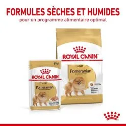 Royal Canin Breed Health Nutrition Royal Canin Spitz Nain Mousse 12 X 85 G -nourriture pour chien Ventes 2023 royal canin spitz nain mousse 12 x 85 g7