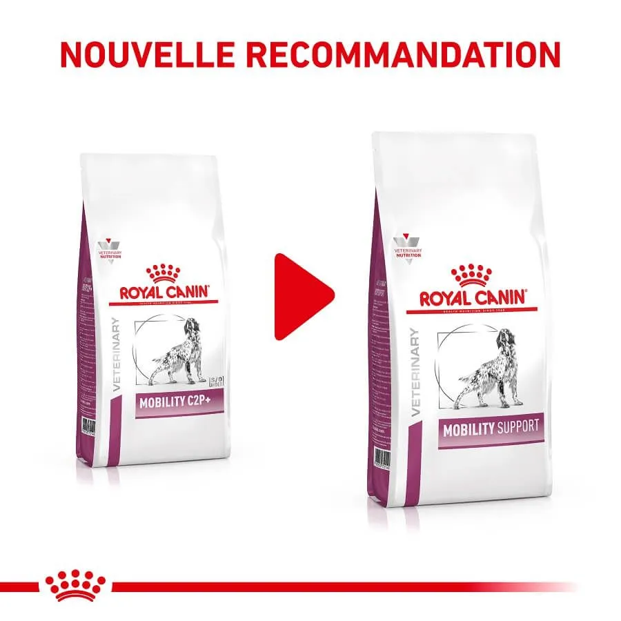 Royal Canin Veterinary Diet Royal Canin Vet Chien Mobility Support 7 Kg 4 Royal Canin Veterinary Diet Royal Canin Vet Chien Mobility Support 7 Kg – Image 2